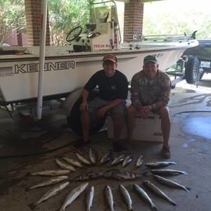 Meet your Posher, Bobby